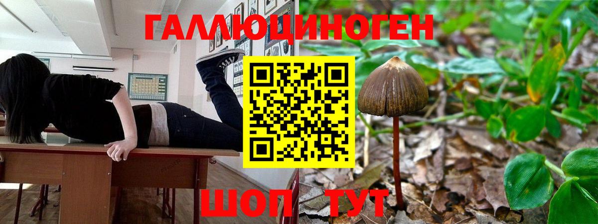 Галлюциногенные грибы Magic Shrooms  Псилоцибиновые грибы Psilocybine cubensis  Вход с VPN  Железноводск 