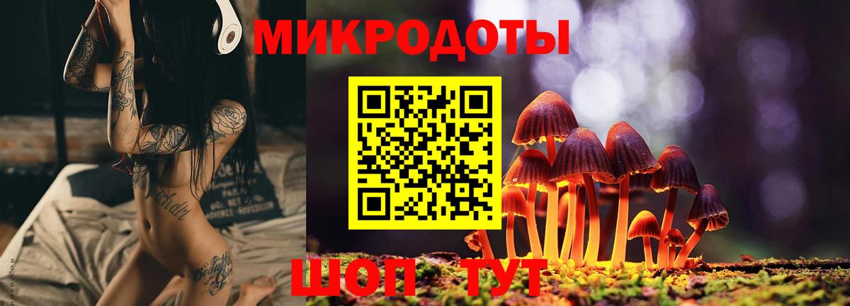 Галлюциногенные грибы мухоморы Железноводск